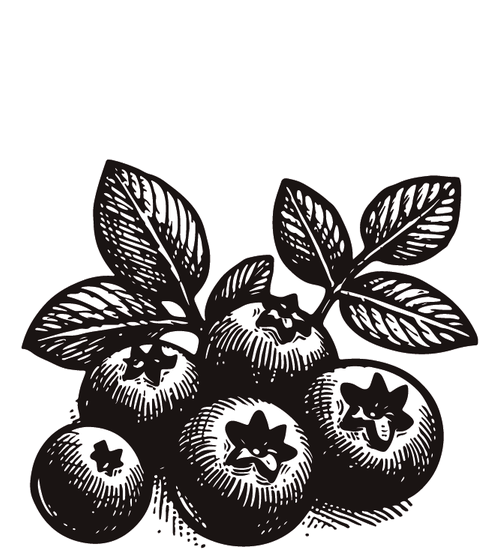 Wild Berry Bliss