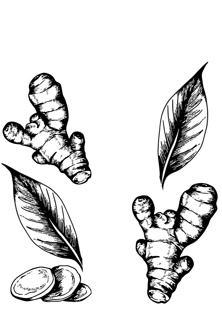 Botanical Alchemy
